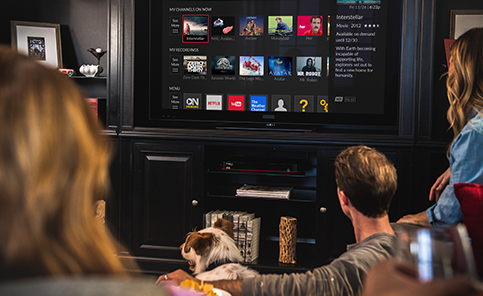 Watch OTA TV from Majestic Sky Link, LLC in Caro, MI - A DISH Authorized Retailer